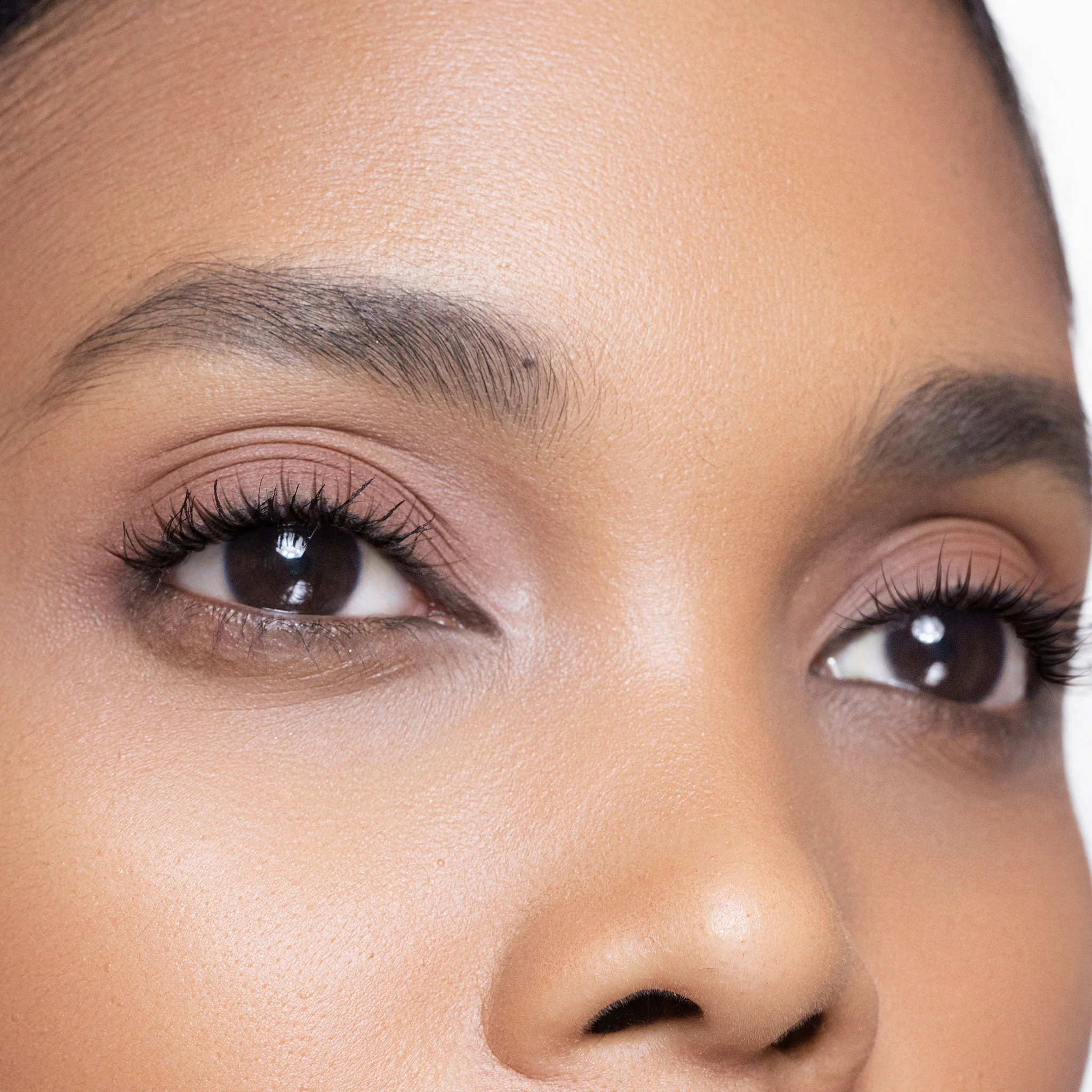 Classic Eye Shadow Refill - Image 45