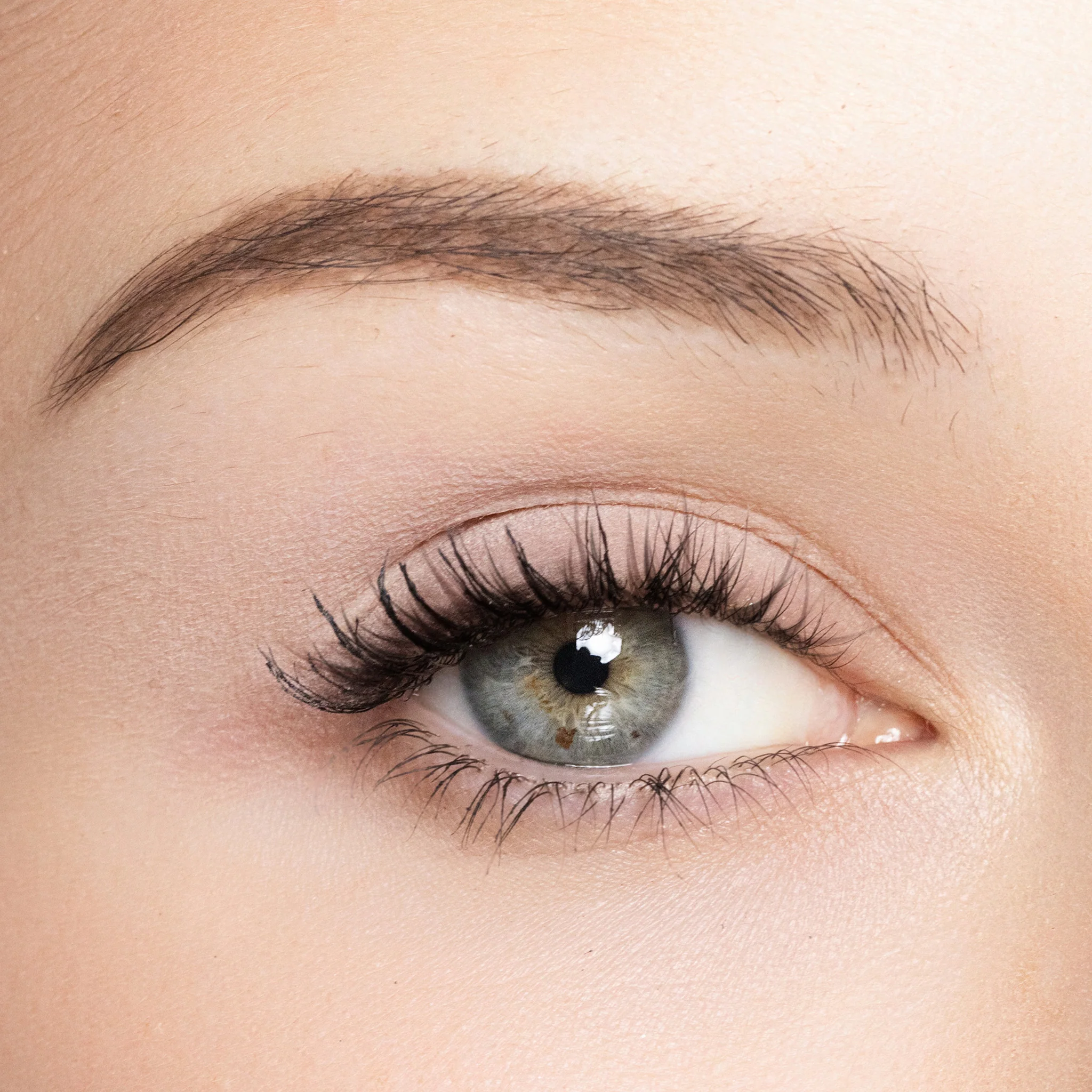 Classic Eye Shadow Refill - Image 8